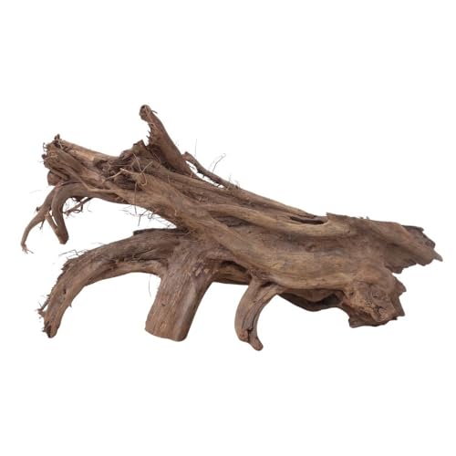 AquaOne Aquarium Wurzel Deko XL Mangrovenwurzel Aquascaping Echtholz Nr.2238 Holz Dekoration Pflanzen Wasserpflanzen Landschaft Moos Natur von AquaOne