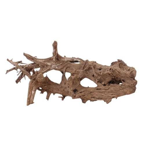 AquaOne Aquarium Wurzel Deko XL Mangrovenwurzel Aquascaping Echtholz Nr.2244 Holz Dekoration Pflanzen Wasserpflanzen Landschaft Moos Natur von AquaOne