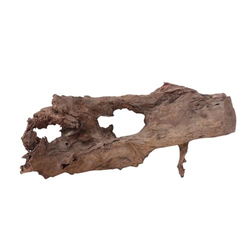 AquaOne Aquarium Wurzel Deko XL Mangrovenwurzel Aquascaping Echtholz Nr.2253 Holz Dekoration Pflanzen Wasserpflanzen Landschaft Moos Natur von AquaOne