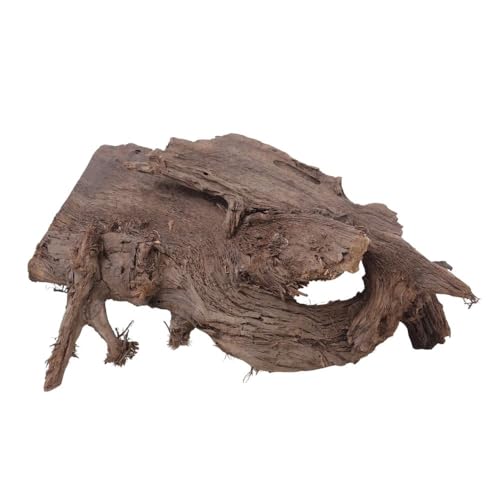 AquaOne Aquarium Wurzel Deko XL Mangrovenwurzel Aquascaping Echtholz Nr.2255 Holz Dekoration Pflanzen Wasserpflanzen Landschaft Moos Natur von AquaOne