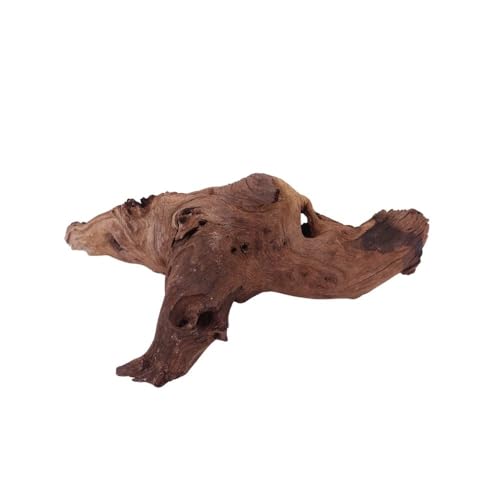 AquaOne Aquarium Wurzel Deko XL Mopani Aquascaping Echtholz Nr.1615 Holz Dekoration Pflanzen Wasserpflanzen Landschaft Moos Natur Mopaniwurzel Welse von AquaOne