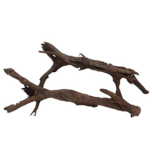 AquaOne Aquarium Wurzel Deko XXL Mangrovenwurzel Aquascaping Echtholz Nr.6998 Holz Dekoration Pflanzen Wasserpflanzen Landschaft Moos Natur von AquaOne