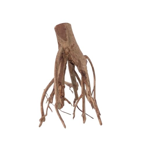 AquaOne L Talawawurzel Nr.2325 Aquarium Wurzel Holz Deko Aquascaping Dekoration Landschaft Mangrove Moorkien Moorwood Moos Natur Echtholz AquaOne L Talawawurzel Nr.2325 Aquarium Wurzel Holz Deko Aquascaping Dekoration Landschaft Mangrove Moorkien Moorwood Moos Natur Echtholz von AquaOne