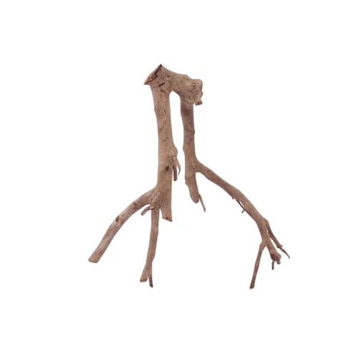 AquaOne L Talawawurzel Nr.2337 Aquarium Wurzel Holz Deko Aquascaping Dekoration Landschaft Mangrove Moorkien Moorwood Moos Natur Echtholz AquaOne L Talawawurzel Nr.2337 Aquarium Wurzel Holz Deko Aquascaping Dekoration Landschaft Mangrove Moorkien Moorwood Moos Natur Echtholz von AquaOne