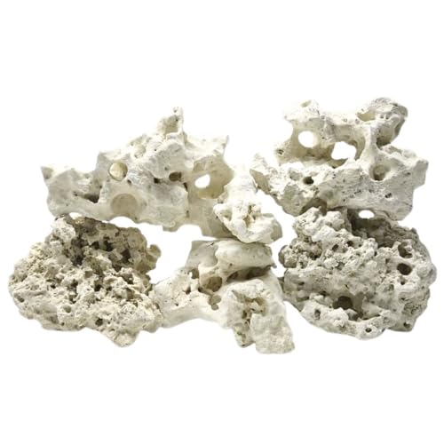 AquaOne Sansibar Rock Aquariengestein Gr.M 0,5-1,0 kg Naturstein für Aquascaping, Malawi Tanganjika & Gesellschaftsbecken Lochgestein Aquarium Deko Stein AquaOne Sansibar Rock Aquariengestein Gr.M 0,5-1,0 kg Naturstein für Aquascaping, Malawi Tanganjika & Gesellschaftsbecken Lochgestein Aquarium Deko Stein von AquaOne