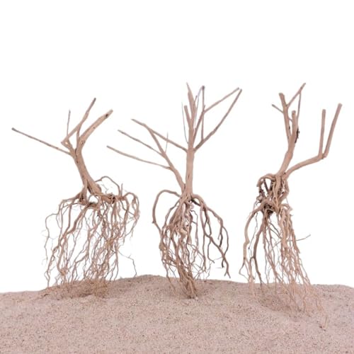AquaOne Steppen Wurzel 25-35cm Aquarium Wurzel Holz Deko Aquascaping Dekoration Landschaft Moorkien Moorwood Redwood Mangrove Moos Natur Echtholz AquaOne Steppen Wurzel 25-35cm Aquarium Wurzel Holz Deko Aquascaping Dekoration Landschaft Moorkien Moorwood Redwood Mangrove Moos Natur Echtholz von AquaOne