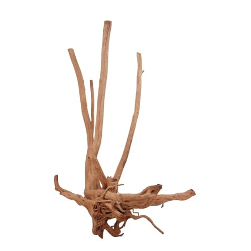 AquaOne Stump Wurzel Nr.2471 Aquarium Wurzel Holz Deko Aquascaping Dekoration Landschaft Mangrove Moorkien Moorwood Moos Natur Echtholz von AquaOne