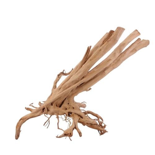 AquaOne Stump Wurzel Nr.2484 Aquarium Wurzel Holz Deko Aquascaping Dekoration Landschaft Mangrove Moorkien Moorwood Moos Natur Echtholz AquaOne Stump Wurzel Nr.2484 Aquarium Wurzel Holz Deko Aquascaping Dekoration Landschaft Mangrove Moorkien Moorwood Moos Natur Echtholz von AquaOne