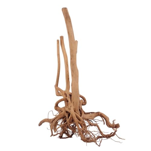 AquaOne Stump Wurzel Nr.2485 Aquarium Wurzel Holz Deko Aquascaping Dekoration Landschaft Mangrove Moorkien Moorwood Moos Natur Echtholz AquaOne Stump Wurzel Nr.2485 Aquarium Wurzel Holz Deko Aquascaping Dekoration Landschaft Mangrove Moorkien Moorwood Moos Natur Echtholz von AquaOne