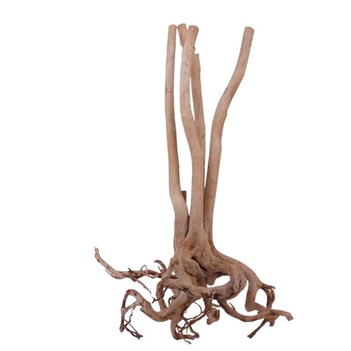 AquaOne Stump Wurzel Nr.2486 Aquarium Wurzel Holz Deko Aquascaping Dekoration Landschaft Mangrove Moorkien Moorwood Moos Natur Echtholz AquaOne Stump Wurzel Nr.2486 Aquarium Wurzel Holz Deko Aquascaping Dekoration Landschaft Mangrove Moorkien Moorwood Moos Natur Echtholz von AquaOne