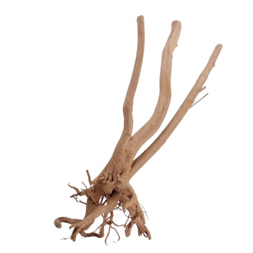 AquaOne Stump Wurzel Nr.2487 Aquarium Wurzel Holz Deko Aquascaping Dekoration Landschaft Mangrove Moorkien Moorwood Moos Natur Echtholz AquaOne Stump Wurzel Nr.2487 Aquarium Wurzel Holz Deko Aquascaping Dekoration Landschaft Mangrove Moorkien Moorwood Moos Natur Echtholz von AquaOne