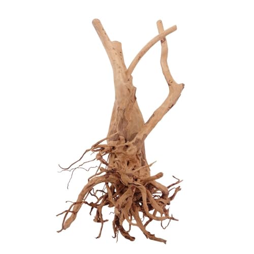 AquaOne Stump Wurzel Nr.2489 Aquarium Wurzel Holz Deko Aquascaping Dekoration Landschaft Mangrove Moorkien Moorwood Moos Natur Echtholz AquaOne Stump Wurzel Nr.2489 Aquarium Wurzel Holz Deko Aquascaping Dekoration Landschaft Mangrove Moorkien Moorwood Moos Natur Echtholz von AquaOne