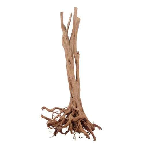 AquaOne Stump Wurzel Nr.2490 Aquarium Wurzel Holz Deko Aquascaping Dekoration Landschaft Mangrove Moorkien Moorwood Moos Natur Echtholz AquaOne Stump Wurzel Nr.2490 Aquarium Wurzel Holz Deko Aquascaping Dekoration Landschaft Mangrove Moorkien Moorwood Moos Natur Echtholz von AquaOne