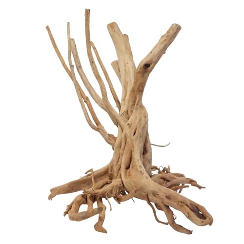 AquaOne Stump Wurzel Nr.2492 Aquarium Wurzel Holz Deko Aquascaping Dekoration Landschaft Mangrove Moorkien Moorwood Moos Natur Echtholz von AquaOne