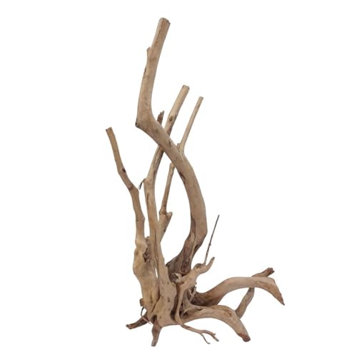AquaOne Stump Wurzel Nr.2493 Aquarium Wurzel Holz Deko Aquascaping Dekoration Landschaft Mangrove Moorkien Moorwood Moos Natur Echtholz von AquaOne