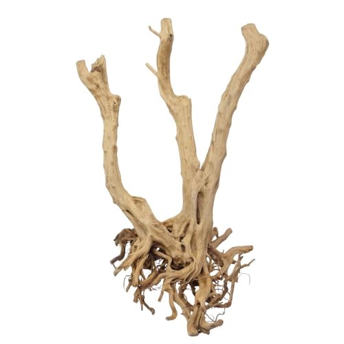 AquaOne Stump Wurzel Nr.2495 Aquarium Wurzel Holz Deko Aquascaping Dekoration Landschaft Mangrove Moorkien Moorwood Moos Natur Echtholz AquaOne Stump Wurzel Nr.2495 Aquarium Wurzel Holz Deko Aquascaping Dekoration Landschaft Mangrove Moorkien Moorwood Moos Natur Echtholz von AquaOne