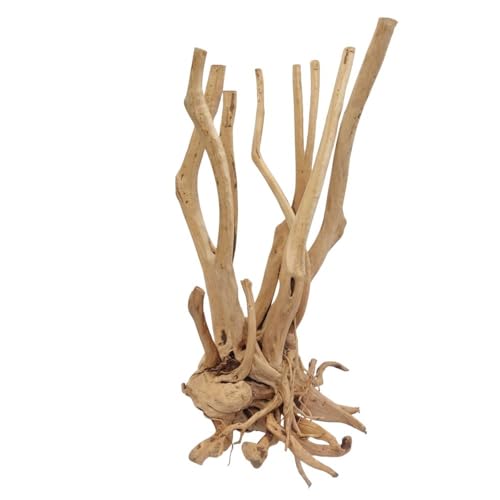 AquaOne Stump Wurzel Nr.2496 Aquarium Wurzel Holz Deko Aquascaping Dekoration Landschaft Mangrove Moorkien Moorwood Moos Natur Echtholz von AquaOne