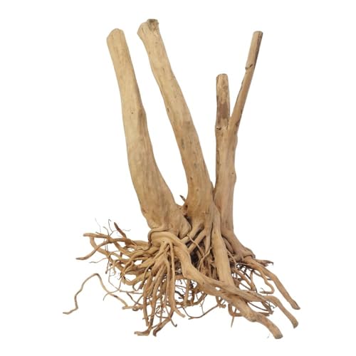 AquaOne Stump Wurzel Nr.2497 Aquarium Wurzel Holz Deko Aquascaping Dekoration Landschaft Mangrove Moorkien Moorwood Moos Natur Echtholz AquaOne Stump Wurzel Nr.2497 Aquarium Wurzel Holz Deko Aquascaping Dekoration Landschaft Mangrove Moorkien Moorwood Moos Natur Echtholz von AquaOne