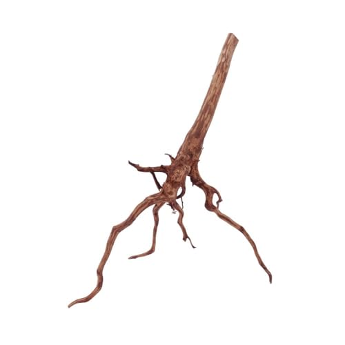 AquaOne XL Red Spider Wurzel Nr.1057 Aquarium Wurzel Moorwood Holz Deko Aquascaping Dekoration Landschaft Mangrove Moorkien Moos Natur Echtholz AquaOne XL Red Spider Wurzel Nr.1057 Aquarium Wurzel Moorwood Holz Deko Aquascaping Dekoration Landschaft Mangrove Moorkien Moos Natur Echtholz von AquaOne