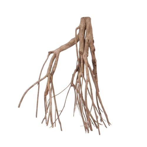 AquaOne XL Talawawurzel Nr.2382 Aquarium Wurzel Holz Deko Aquascaping Dekoration Landschaft Mangrove Moorkien Moorwood Moos Natur Echtholz von AquaOne