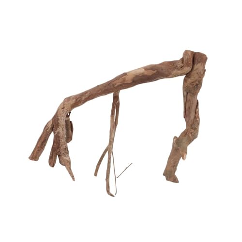 AquaOne XL Talawawurzel Nr.2395 Aquarium Wurzel Holz Deko Aquascaping Dekoration Landschaft Mangrove Moorkien Moorwood Moos Natur Echtholz von AquaOne