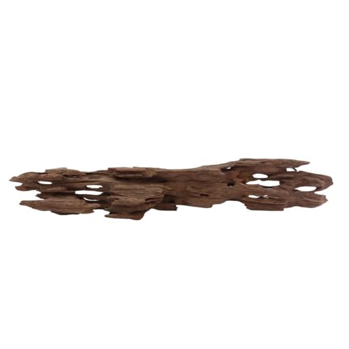 L Honey Comb Wurzel Nr.2070 Aquarium Wurzel Mangrove Holz Deko Aquascaping Dekoration Landschaft Moos Natur Echtholz L Honey Comb Wurzel Nr.2070 Aquarium Wurzel Mangrove Holz Deko Aquascaping Dekoration Landschaft Moos Natur Echtholz von AquaOne