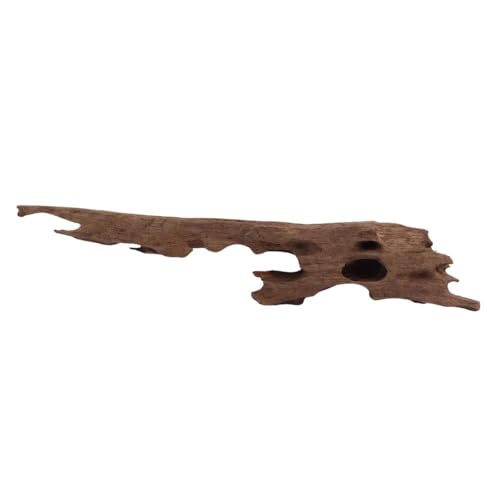 M Honey Comb Wurzel Nr.2019 Aquarium Wurzel Mangrove Holz Deko Aquascaping Dekoration Landschaft Moos Natur Echtholz M Honey Comb Wurzel Nr.2019 Aquarium Wurzel Mangrove Holz Deko Aquascaping Dekoration Landschaft Moos Natur Echtholz von AquaOne