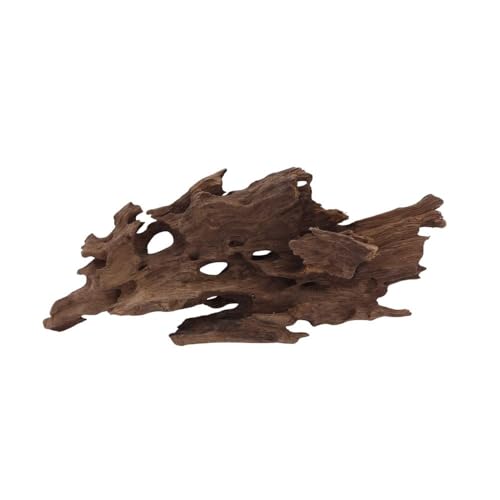 M Honey Comb Wurzel Nr.2274 Aquarium Wurzel Mangrove Holz Deko Aquascaping Dekoration Landschaft Moos Natur Echtholz von AquaOne