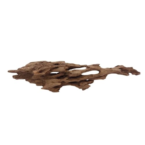 M Honey Comb Wurzel Nr.2276 Aquarium Wurzel Mangrove Holz Deko Aquascaping Dekoration Landschaft Moos Natur Echtholz von AquaOne