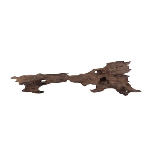 M Honey Comb Wurzel Nr.2278 Aquarium Wurzel Mangrove Holz Deko Aquascaping Dekoration Landschaft Moos Natur Echtholz von AquaOne