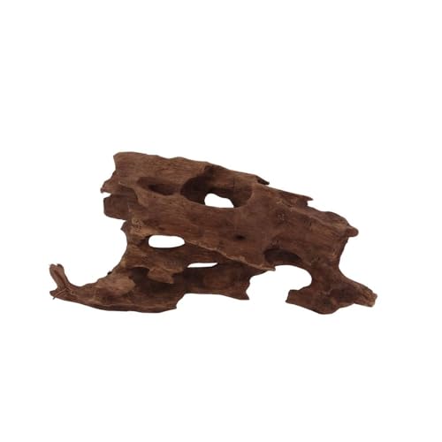 M Honey Comb Wurzel Nr.2279 Aquarium Wurzel Mangrove Holz Deko Aquascaping Dekoration Landschaft Moos Natur Echtholz von AquaOne