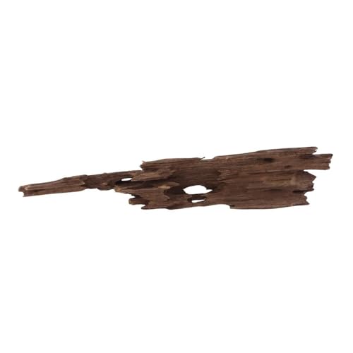 M Honey Comb Wurzel Nr.2281 Aquarium Wurzel Mangrove Holz Deko Aquascaping Dekoration Landschaft Moos Natur Echtholz von AquaOne
