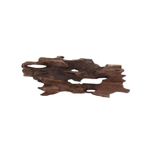 M Honey Comb Wurzel Nr.2282 Aquarium Wurzel Mangrove Holz Deko Aquascaping Dekoration Landschaft Moos Natur Echtholz von AquaOne