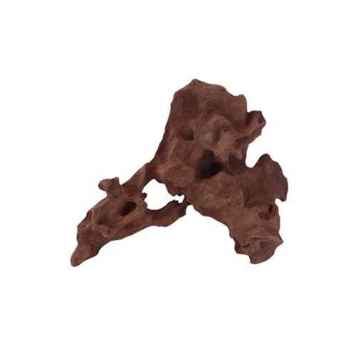 M Honey Comb Wurzel Nr.2283 Aquarium Wurzel Mangrove Holz Deko Aquascaping Dekoration Landschaft Moos Natur Echtholz von AquaOne