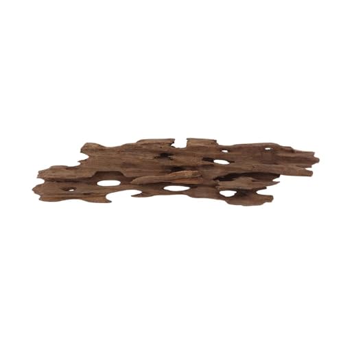 M Honey Comb Wurzel Nr.2287 Aquarium Wurzel Mangrove Holz Deko Aquascaping Dekoration Landschaft Moos Natur Echtholz von AquaOne