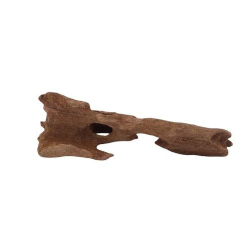 M Honey Comb Wurzel Nr.2291 Aquarium Wurzel Mangrove Holz Deko Aquascaping Dekoration Landschaft Moos Natur Echtholz M Honey Comb Wurzel Nr.2291 Aquarium Wurzel Mangrove Holz Deko Aquascaping Dekoration Landschaft Moos Natur Echtholz von AquaOne