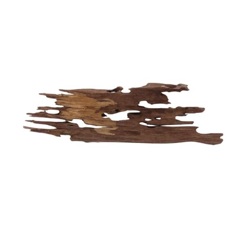 M Honey Comb Wurzel Nr.2292 Aquarium Wurzel Mangrove Holz Deko Aquascaping Dekoration Landschaft Moos Natur Echtholz M Honey Comb Wurzel Nr.2292 Aquarium Wurzel Mangrove Holz Deko Aquascaping Dekoration Landschaft Moos Natur Echtholz von AquaOne