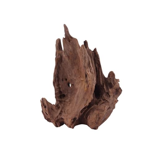 M Mangrovenwurzel Nr.1824 Aquarium Wurzel Mangrove Holz Deko Aquascaping Dekoration Landschaft Moos Natur Echtholz M Mangrovenwurzel Nr.1824 Aquarium Wurzel Mangrove Holz Deko Aquascaping Dekoration Landschaft Moos Natur Echtholz von AquaOne