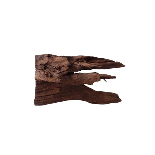 M Mangrovenwurzel Nr.9776 Aquarium Wurzel Mangrove Holz Deko Aquascaping Dekoration Landschaft Moos Natur Echtholz M Mangrovenwurzel Nr.9776 Aquarium Wurzel Mangrove Holz Deko Aquascaping Dekoration Landschaft Moos Natur Echtholz von AquaOne