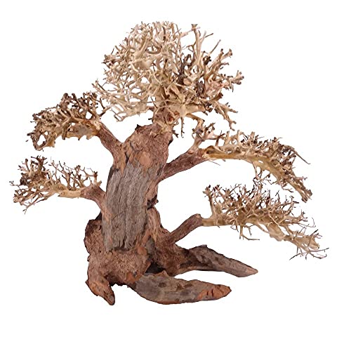 XL Bonsai Baum Nr.12011 Wurzel Holz Aquarium Deko Aquascaping Bonsaibaum Dekoration Landschaft Moos Natur von AquaOne