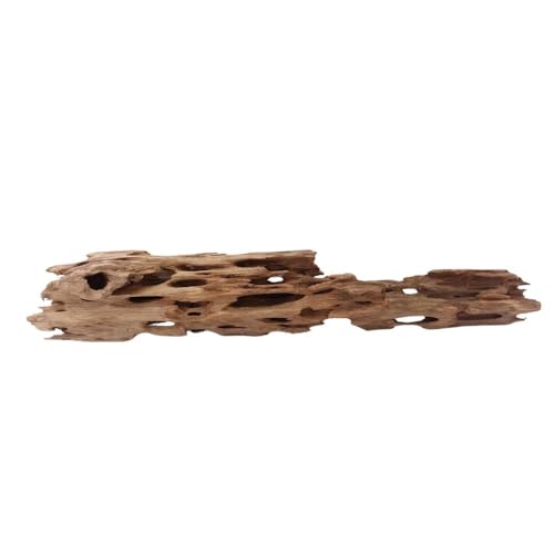 XL Honey Comb Wurzel Nr.1926 Aquarium Wurzel Mangrove Holz Deko Aquascaping Dekoration Landschaft Moos Natur Echtholz XL Honey Comb Wurzel Nr.1926 Aquarium Wurzel Mangrove Holz Deko Aquascaping Dekoration Landschaft Moos Natur Echtholz von AquaOne
