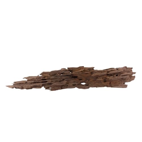 XL Honey Comb Wurzel Nr.1928 Aquarium Wurzel Mangrove Holz Deko Aquascaping Dekoration Landschaft Moos Natur Echtholz XL Honey Comb Wurzel Nr.1928 Aquarium Wurzel Mangrove Holz Deko Aquascaping Dekoration Landschaft Moos Natur Echtholz von AquaOne