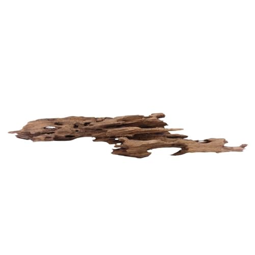 XL Honey Comb Wurzel Nr.1929 Aquarium Wurzel Mangrove Holz Deko Aquascaping Dekoration Landschaft Moos Natur Echtholz XL Honey Comb Wurzel Nr.1929 Aquarium Wurzel Mangrove Holz Deko Aquascaping Dekoration Landschaft Moos Natur Echtholz von AquaOne