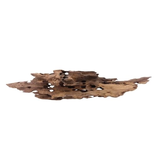 XL Honey Comb Wurzel Nr.1930 Aquarium Wurzel Mangrove Holz Deko Aquascaping Dekoration Landschaft Moos Natur Echtholz XL Honey Comb Wurzel Nr.1930 Aquarium Wurzel Mangrove Holz Deko Aquascaping Dekoration Landschaft Moos Natur Echtholz von AquaOne