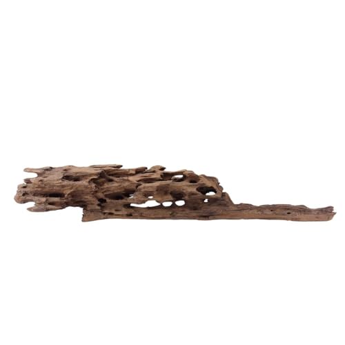 XL Honey Comb Wurzel Nr.1932 Aquarium Wurzel Mangrove Holz Deko Aquascaping Dekoration Landschaft Moos Natur Echtholz von AquaOne