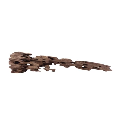 XL Honey Comb Wurzel Nr.1947 Aquarium Wurzel Mangrove Holz Deko Aquascaping Dekoration Landschaft Moos Natur Echtholz XL Honey Comb Wurzel Nr.1947 Aquarium Wurzel Mangrove Holz Deko Aquascaping Dekoration Landschaft Moos Natur Echtholz von AquaOne