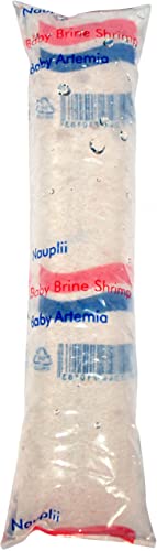 Aquadip frisch geschlüpfte Artemia-Nauplien 80 ml Beutel | Versand: Dienstag | Zierfisch Lebendfutter von Aquadip