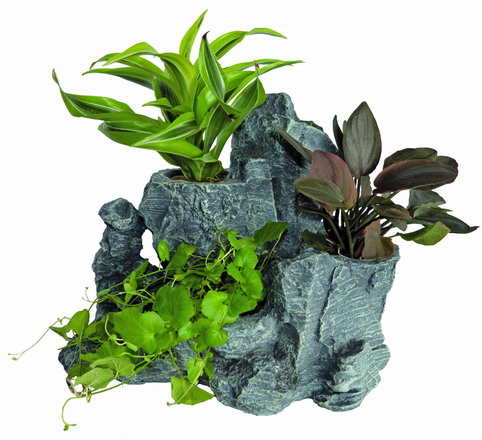Scapers Rock Planty - Felsen mit Pflanzöffnungen für Wasserpflanzen von Aquadistri