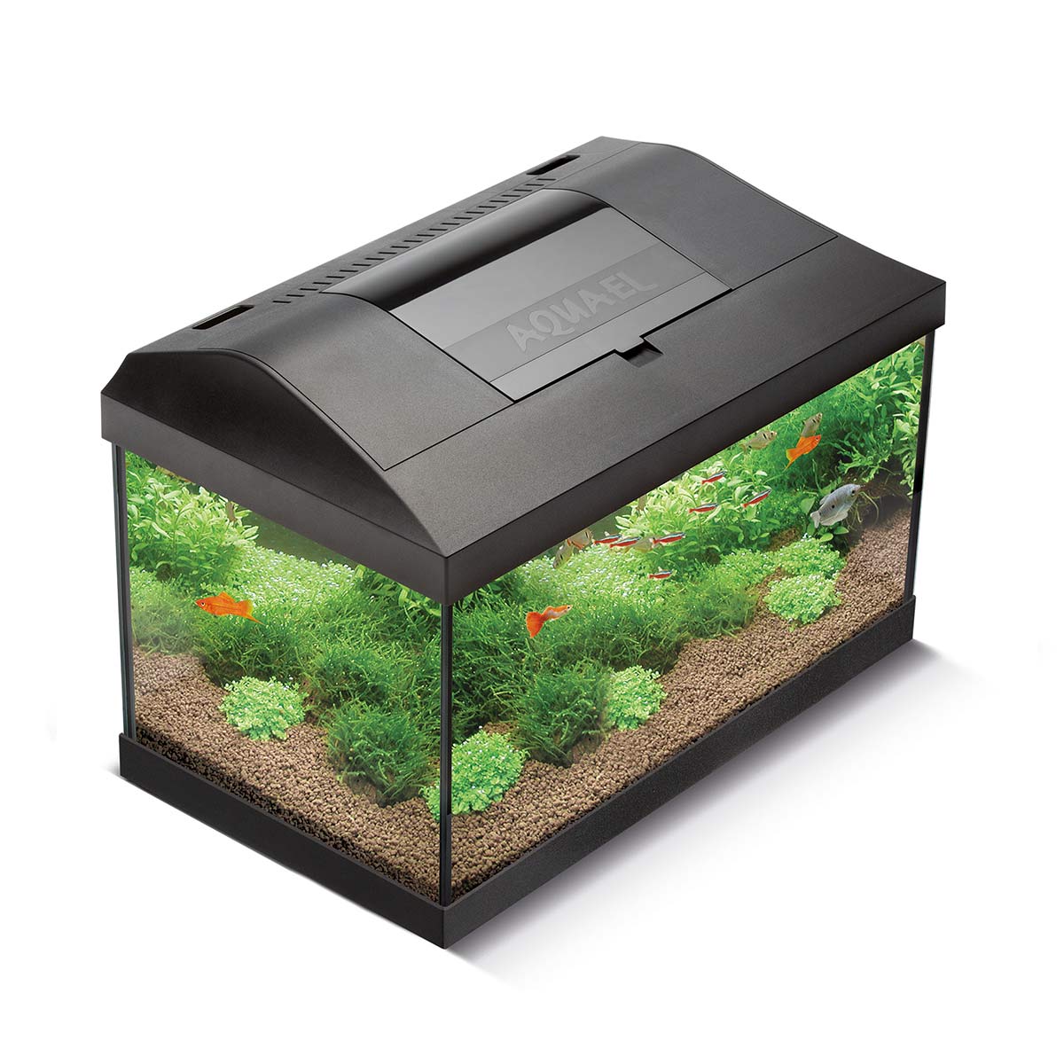 Aquael Aquarienset Leddy Tag & Nacht schwarz 2.0 Leddy 40 (25 Liter) von Aquael