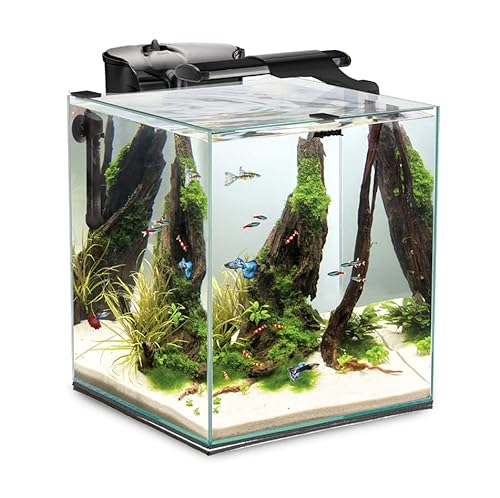 Aquael Fish&Shrimp Set Duo D&N 35 SCHWAR, schwarz von Aquael